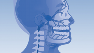 Trigeminal