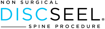 Discseel Spine Procedure